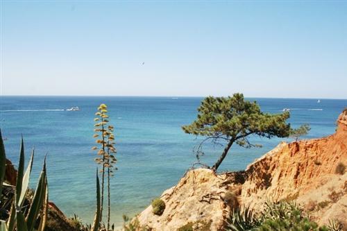 Apartamento Almerinda Albufeira Eksteriør billede